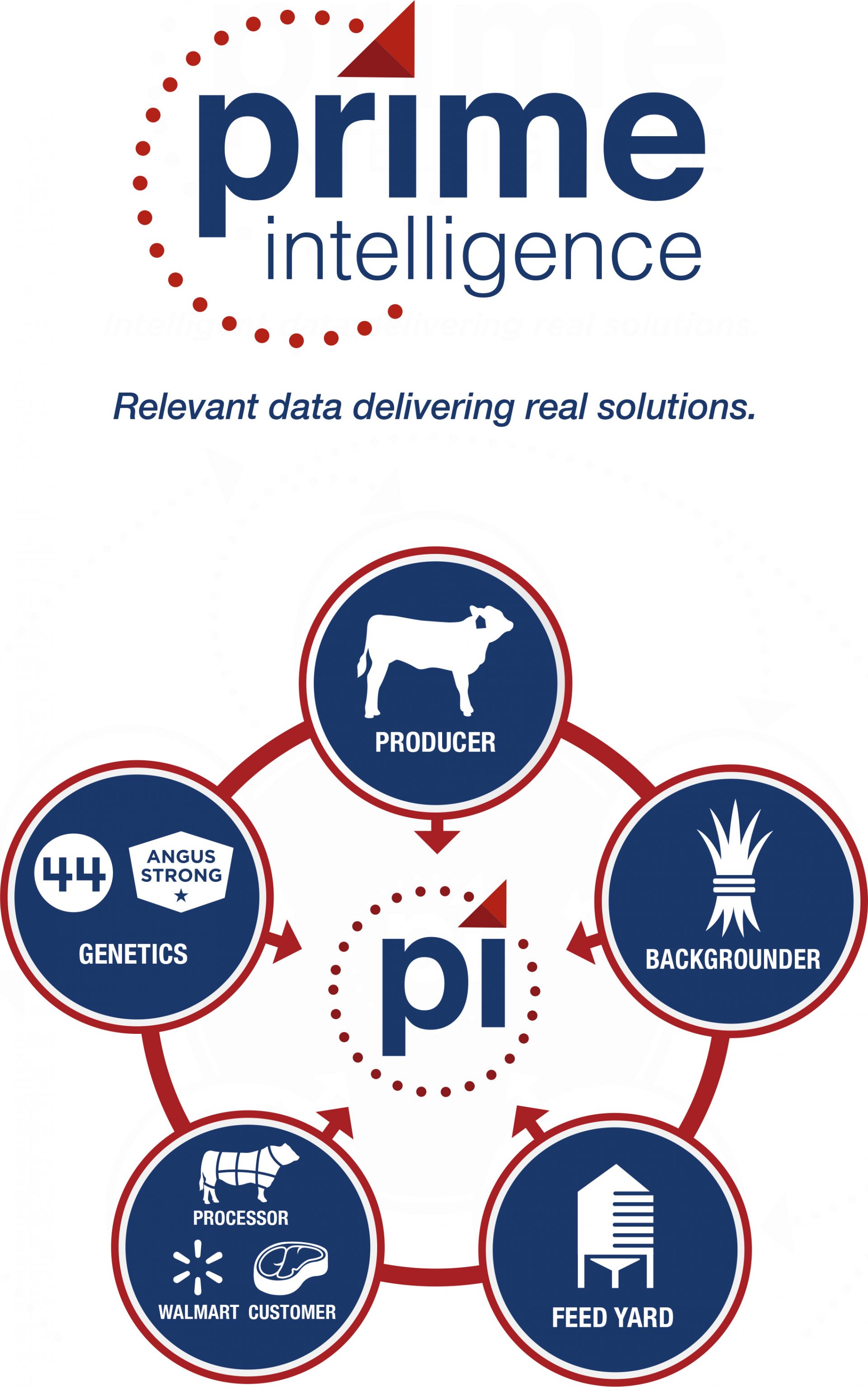 Prime Intelligence - Intelligent data delivering real solutions.